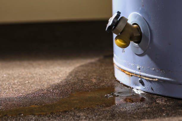Best Water damage contractors near me  in Taylors, SC