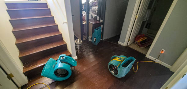 Carpet water damage restoration in Taylors, SC