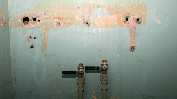 Best Professional water damage repair  in Taylors, SC