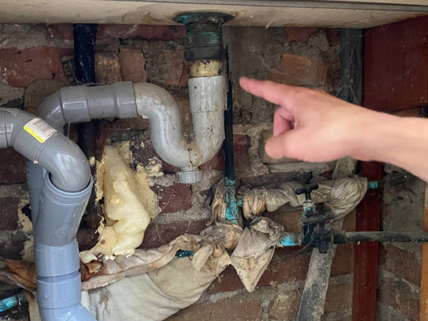 Best Carpet water damage restoration  in Taylors, SC